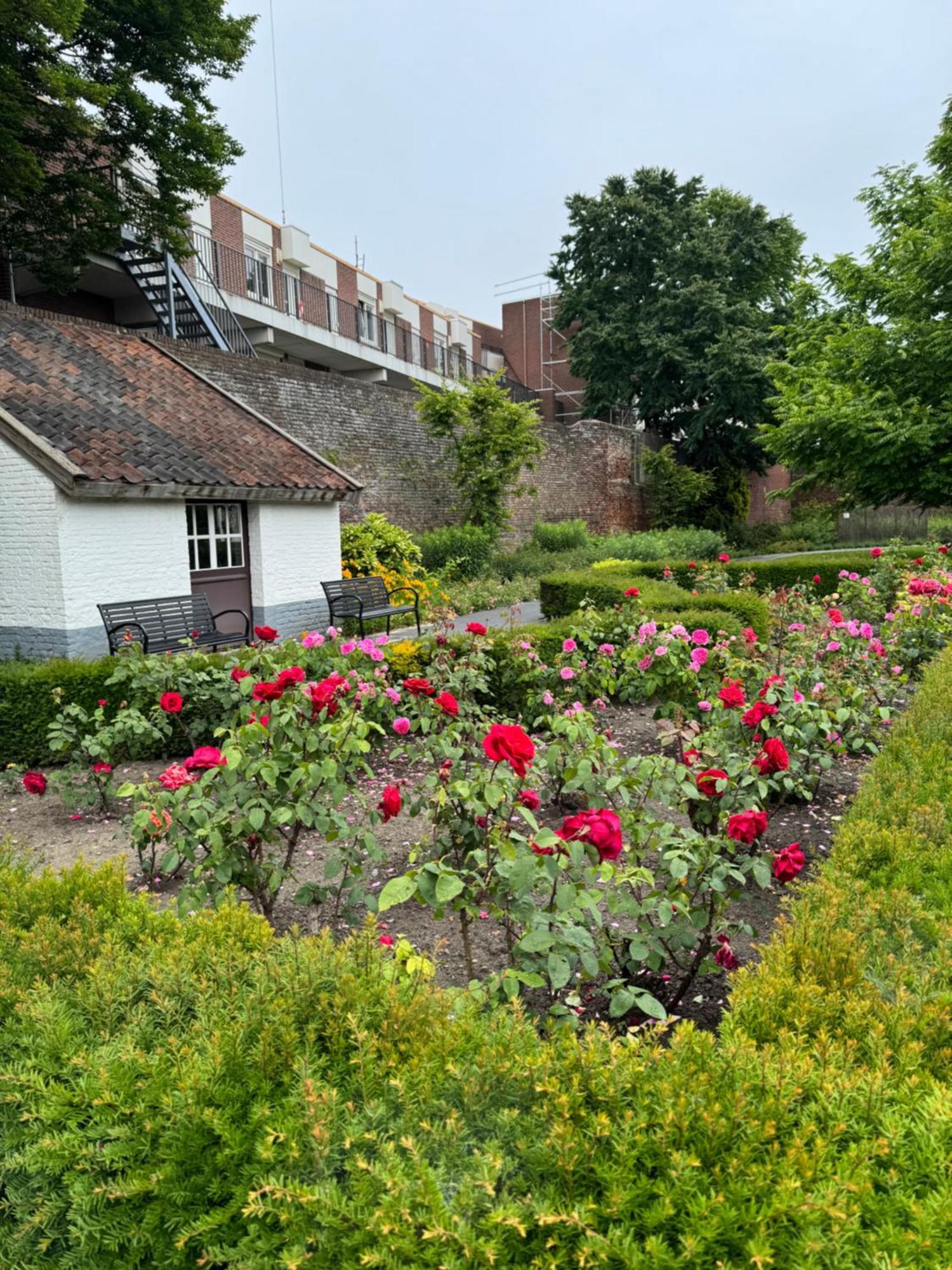 B&B Maria Hart Weert Exteriör bild